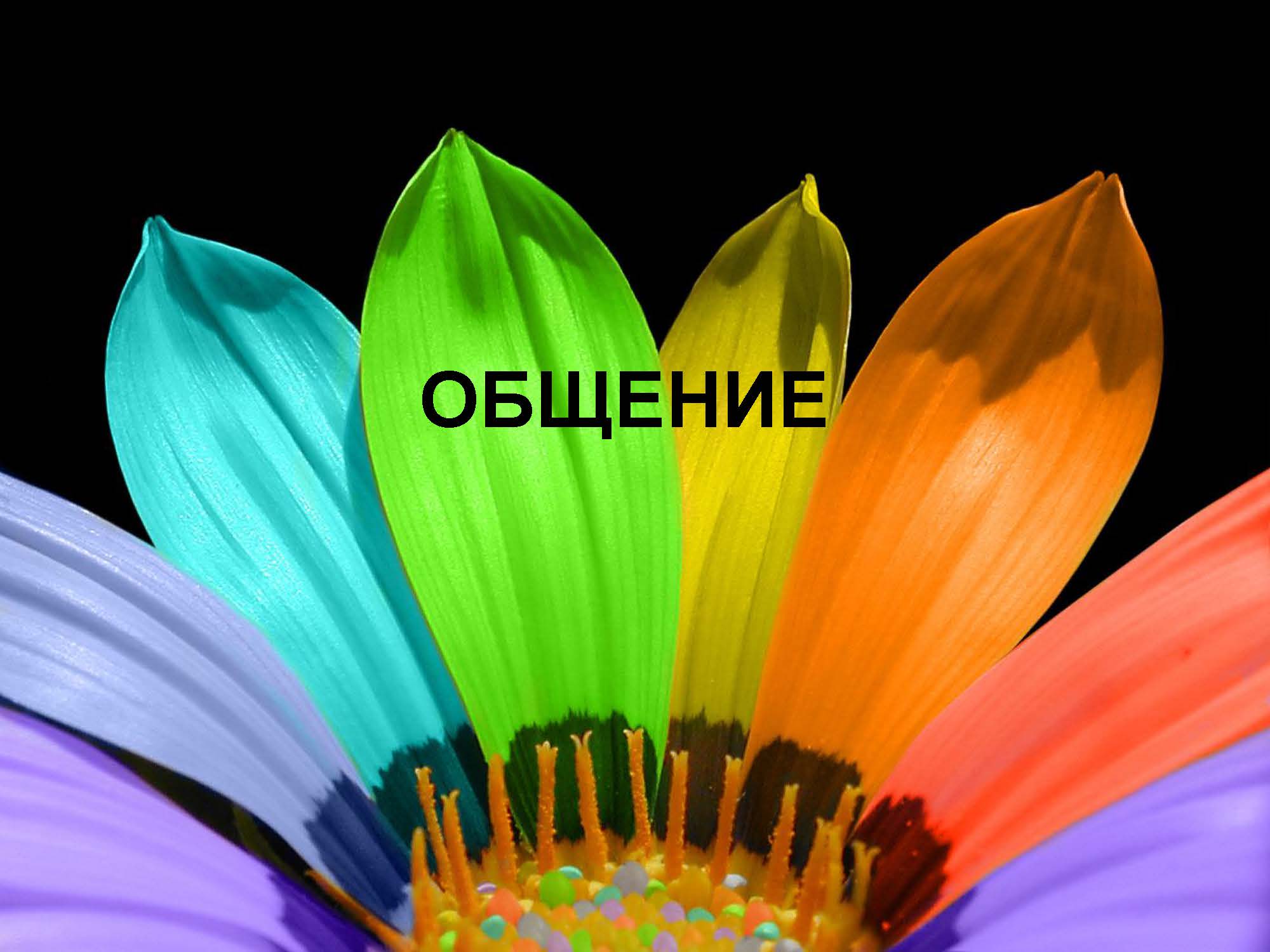 ОБЩЕНИЕ